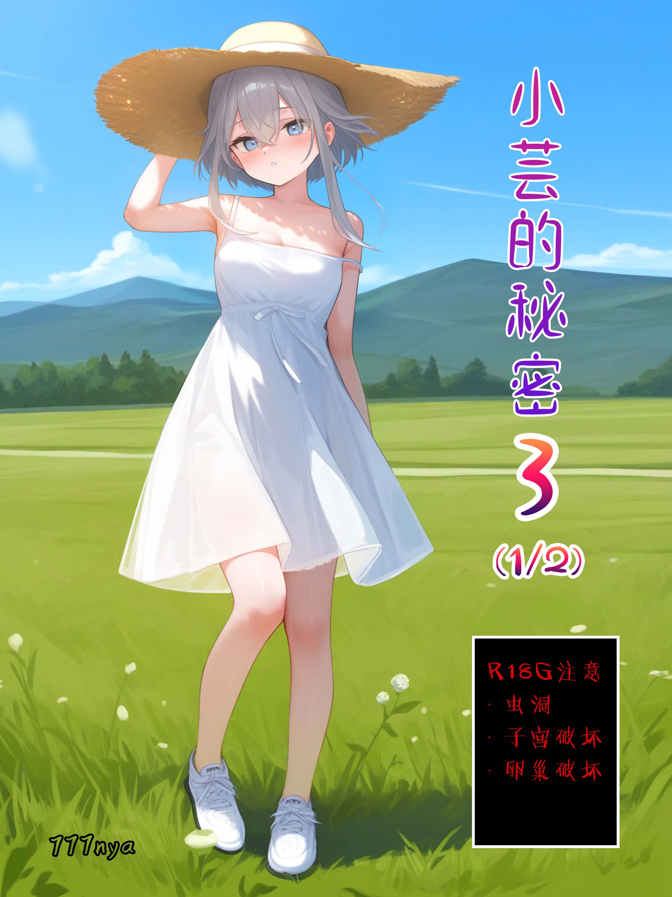 [动漫二次元] [自行打包] 画师777nya2024---2025年作品合集自购 [np+400+mb][百度盘]